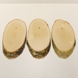 3 birch trophy shields for deer, tree disc, tree shield, AF 20 cm