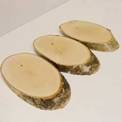 3 birch trophy shields for deer, tree disc, tree shield, AF 20 cm