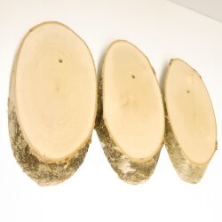 3 birch trophy shields for deer, tree disc, tree shield, AF 20 cm