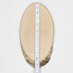 1 piece birch shield trophy shield deer antlers tree slice tree shield AF 21 cm