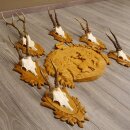 6 corna di capriolo su trofeo intagliato + 1 trofeo intagliato con motivo cervo capriolo corna #22.1042